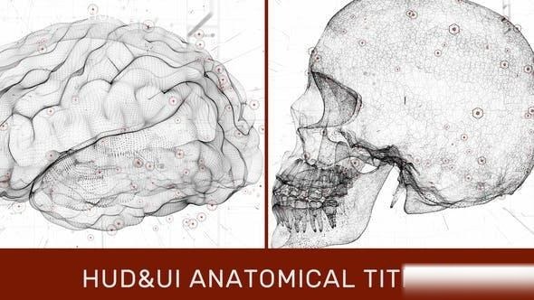 Videohive HUD UI Anatomical Titles Titles template preview