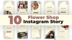 Videohive Flower Shop Instagram Stories Openers template preview