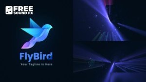 Videohive Elegant Shining Logo Logo Stings template preview