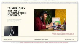 Videohive Portfolio Promo - Video Showcase Openers template preview