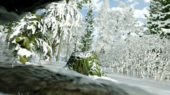 Videohive Winter Forest Nature Logo Logo Stings template preview