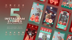 Videohive Valentines Day Vertical Instagram Product Promo template preview