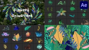 Videohive Flowers Animations for After Effects Elements template preview