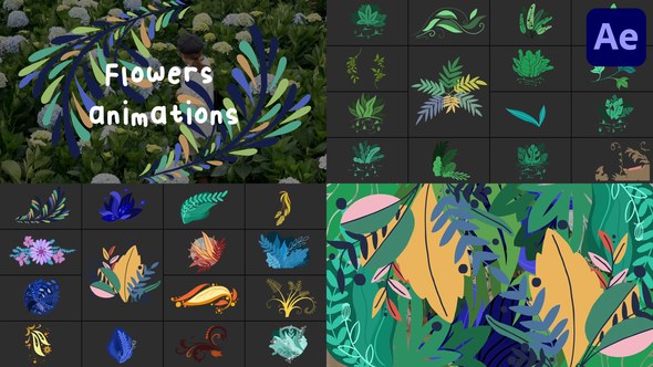 Videohive Flowers Animations for After Effects Elements template preview