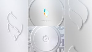 Videohive Clean Modern Logo Reveal Logo Stings template preview