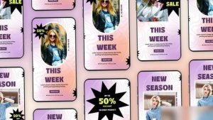 Videohive Fashion Sale Instagram Story 56280633 Elements template preview