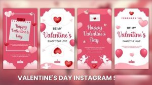 Videohive Valentines Day Greetings Instagram Story Elements template preview