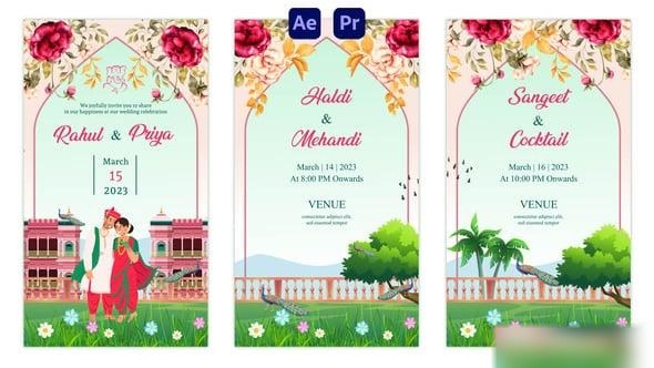 Videohive Indian Wedding Invitation Instagram Story 57161558 Elements template preview