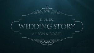 Videohive Silver Wedding Titles Titles template preview