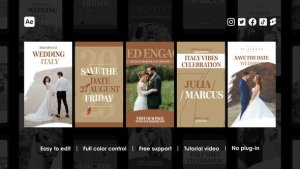 Videohive Wedding Instagram Reels Product Promo template preview