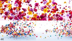 Videohive Flowers Logo Reveal Logo Stings template preview