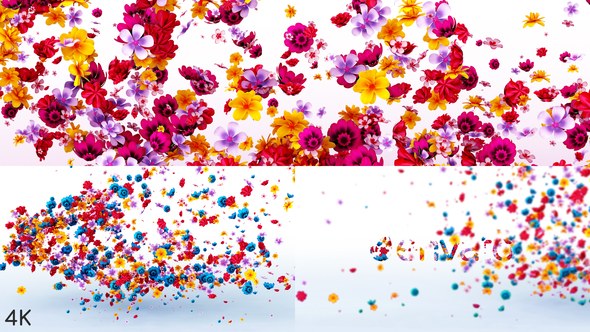 Videohive Flowers Logo Reveal Logo Stings template preview