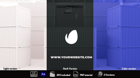 Videohive Shipping Experts V2 Logo Stings template preview