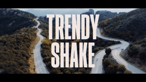 Videohive Trendy Shake Transitions Elements template preview