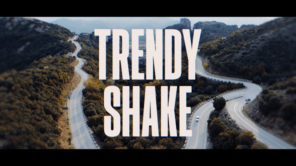 Videohive Trendy Shake Transitions Elements template preview