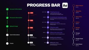Videohive Vertical Step Progress Bars & Checklists Infographics template preview