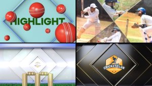 Videohive Cricket Bumper Logo Stings template preview