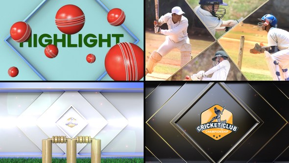 Videohive Cricket Bumper Logo Stings template preview