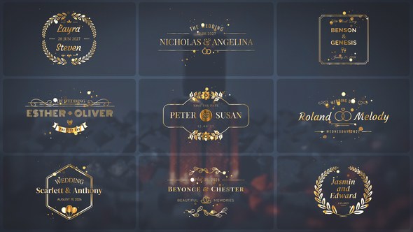 Videohive Wedding Titles 53948610 Titles template preview