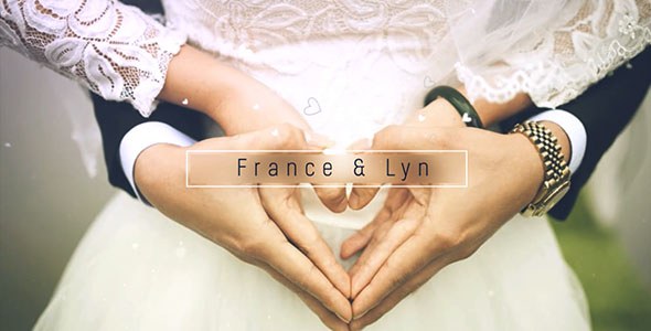 Videohive Wedding Gallery Video Displays template preview