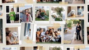 Videohive Photo Slideshow & Collage Template Elements template preview
