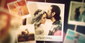 Elegant Gallery Video Displays template preview