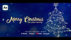 Videohive Christmas Wishes 60969891 Openers template preview