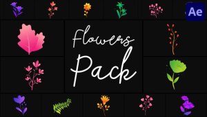 Videohive Flowers Pack for After Effects 50689716 Elements template preview