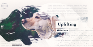 Videohive Uplifting Slideshow Video Displays template preview