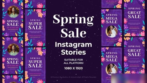 Videohive Spring Sale Instagram Stories 57056684 Openers template preview