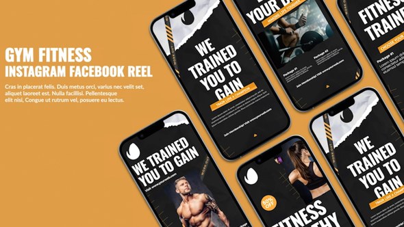 Videohive Gym Fitness Instagram Reel Product Promo template preview