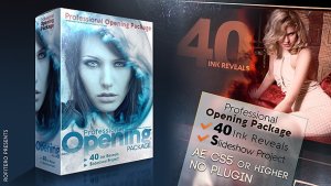 Professional Opening Package Video Displays template preview