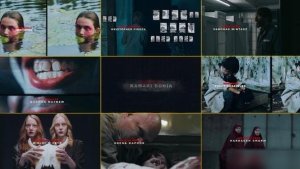 Videohive Horror Thriller Title sequence Openers template preview