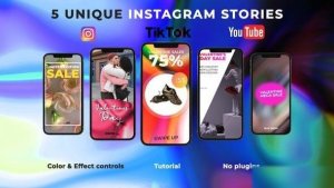 Videohive Valentine Sale Stories Openers template preview
