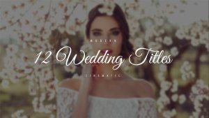Videohive Wedding Titles 22070117 Titles template preview