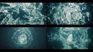 Videohive Water Swirl Aqua Vortex Splash Logo Logo Stings template preview