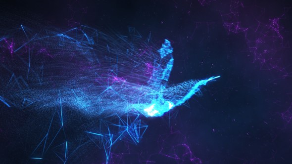 Videohive Serenity | Abstract Bird Reveal Logo Stings template preview