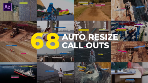Videohive Auto Resizing Call-Outs Infographics template preview
