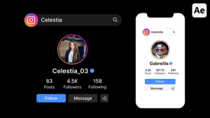 Videohive Instagram Search Bar, Profile, Result Elements template preview