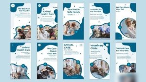 Videohive Animal Health Care Instagram story Openers template preview