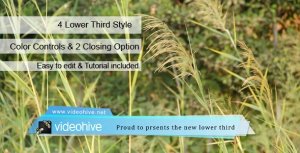 Lower Third Video Displays template preview