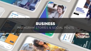 Videohive Business Instagram Stories & Social Post Product Promo template preview