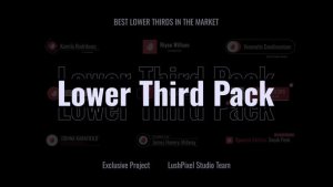 Videohive Professional Logo Lower Thirds Set Elements template preview