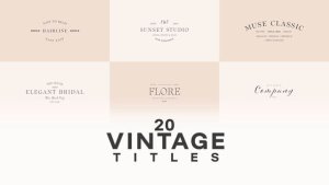 Videohive Wedding Title 59381052 Titles template preview