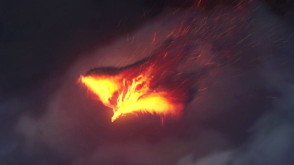 Videohive The Pheonix | Fire Reveal Logo Stings template preview