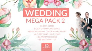 Wedding Mega Pack 2 Video Displays template preview