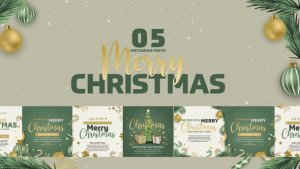 Videohive Happy New Year Instagram Posts Elements template preview