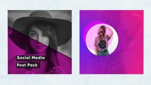 Videohive Instagram media posts pack v.1 Video Displays template preview