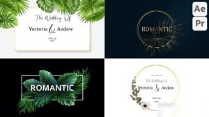 Videohive Lovely Title Titles template preview