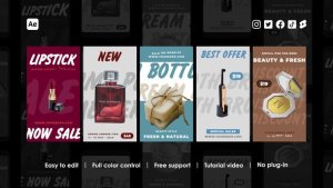 Videohive Commerce Instagram Reels 44943985 Product Promo template preview